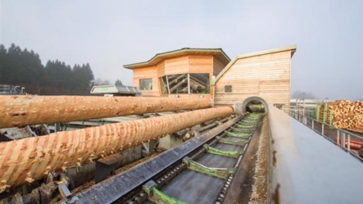 Moulinvest : résultats annuels en nette amélioration