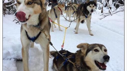 Neoen remporte deux contrats solaires au Canada