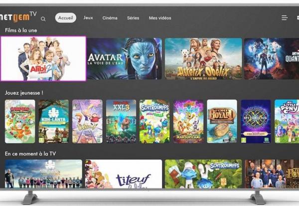Netgem et Vialis annoncent un partenariat pour réinventer l'expérience TV