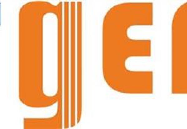 Netgem : le dividende sera versé début juin
