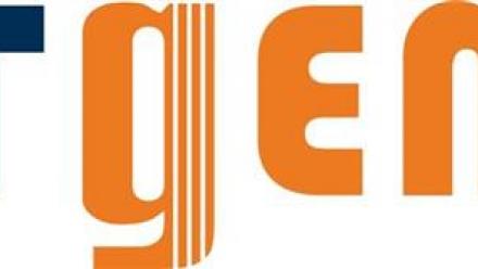 Netgem : le dividende sera versé début juin