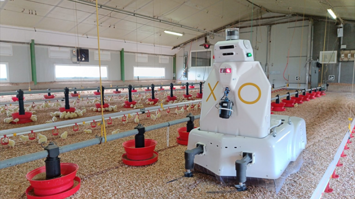 Octopus et TAW intègrent la technologie 5G industrielle dans ses robots en partenariat avec EXCELCAR