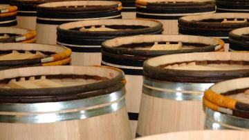 Oeneo : le marché poursuit sa contraction