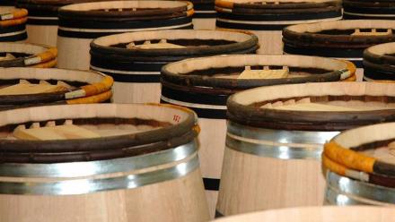 Oeneo : le marché poursuit sa contraction