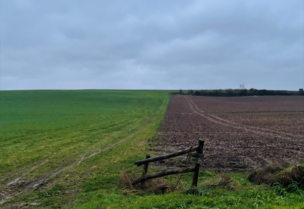 Okwind : chiffre d'affaires semestriel en forte baisse