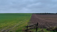 Okwind : chiffre d'affaires semestriel en forte baisse