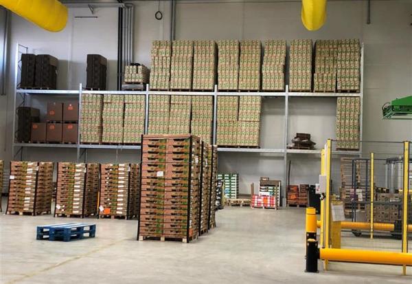 Omer-Decugis & Cie : timide hausse après l'annonce de la création d'une joint-venture stratégique avec PrepWorld