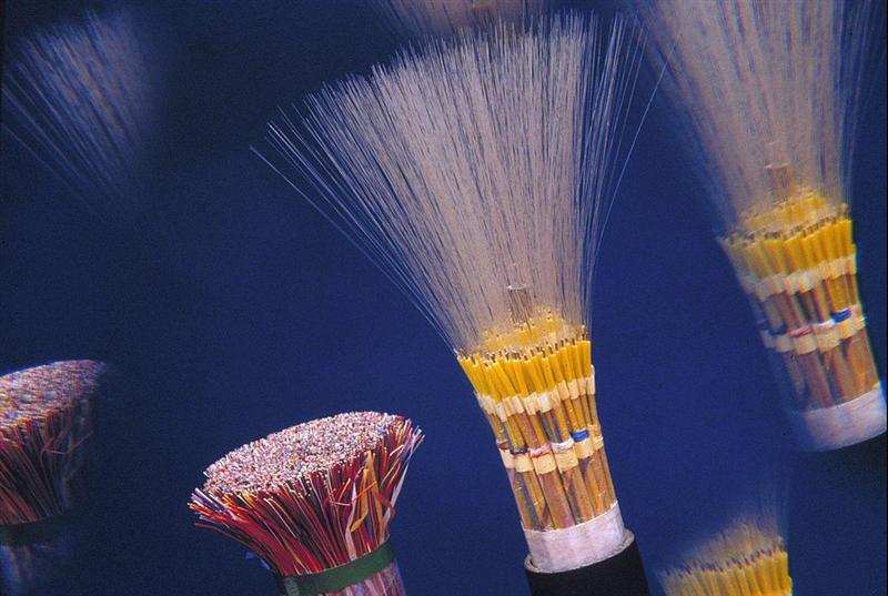 Orange : bien vert !