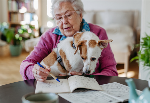 Pet Service Holding : 2025, une année de transition