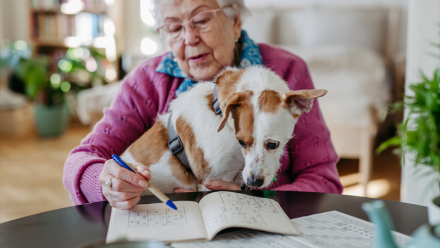 Pet Service Holding : 2025, une année de transition