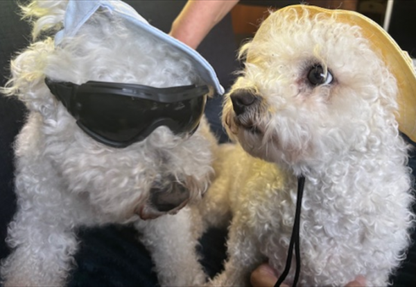 Pet Service Holding confirme ses ambitions de croissance face aux actionnaires