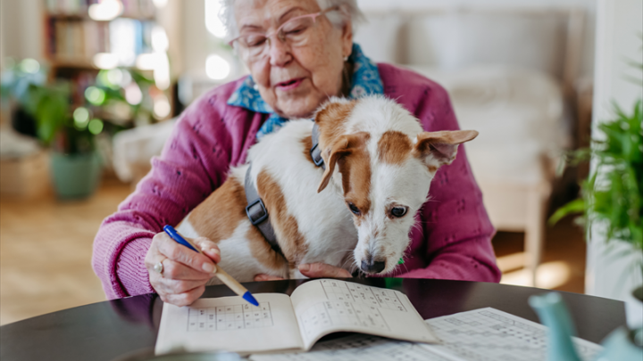 Pet Service Holding : ouvre son premier magasin aux Pays-Bas