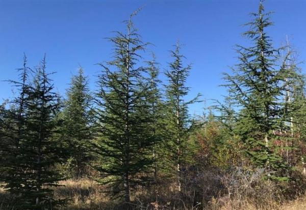 Quadient franchit une nouvelle étape de performance environnementale