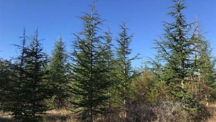 Quadient franchit une nouvelle étape de performance environnementale