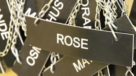 Robertet : la croissance s'accélère au 2ème trimestre