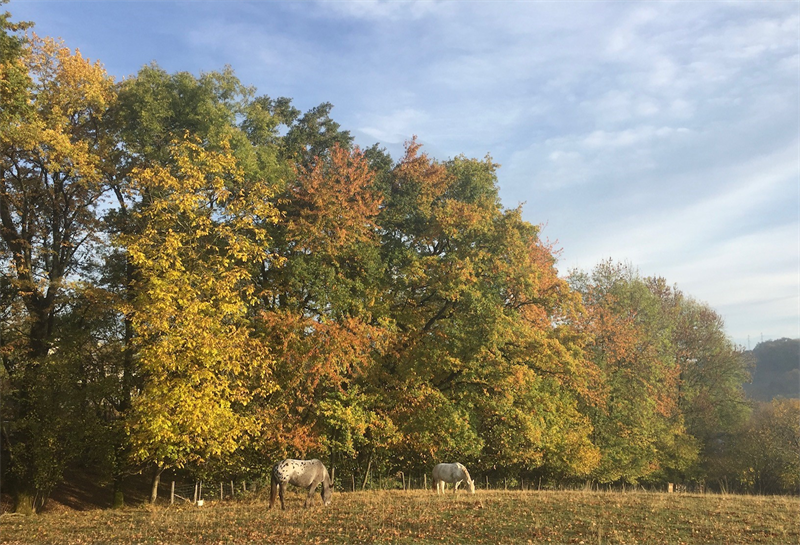 Rougier : compte rendu de l'Assemblée générale