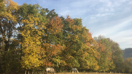 Rougier : compte rendu de l'Assemblée générale