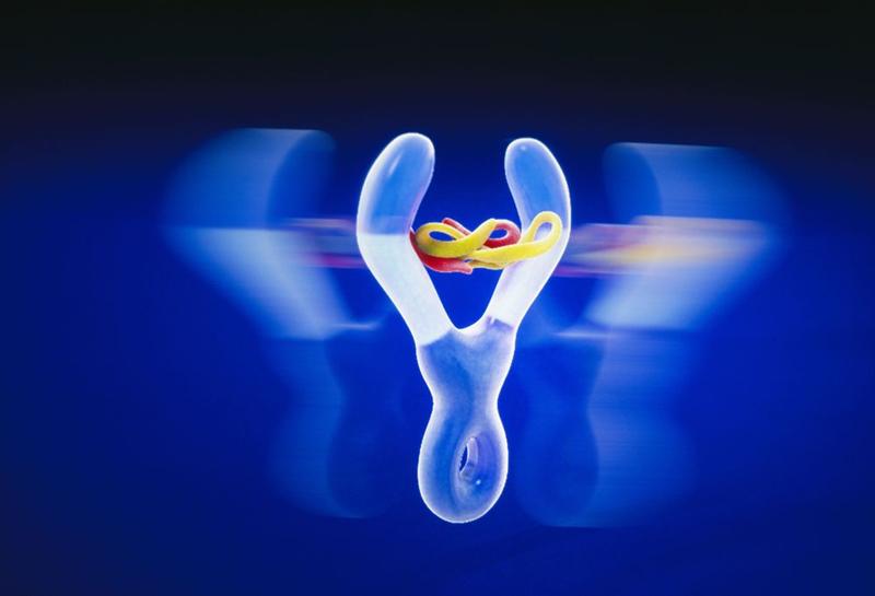 Sanofi : à suivre demain