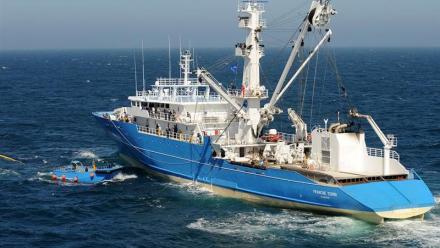 Sapmer : Cana Tera reclasse ses actions Sapmer Investissements