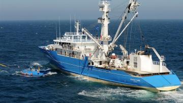 Sapmer : dépréciation comptable sur les thoniers