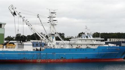 Sapmer : les comptes se redressent et le désendettement se poursuit