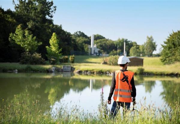 Séché Environnement : au vert