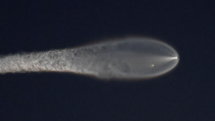 SpaceX et Tesla étudient bien une possible fusion !