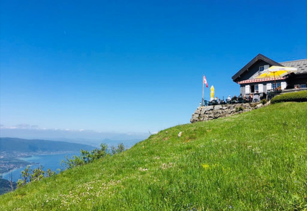 Televerbier vise plus de 5,5% de croissance du chiffre d'affaires pour l'exercice 2025-2026