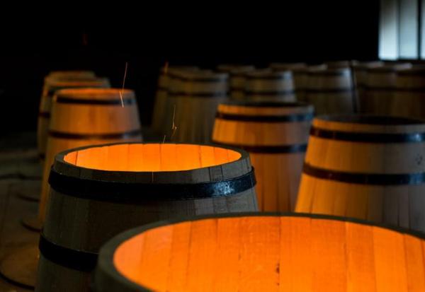 TFF Group : en baisse après les annonces