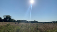 TotalEnergies : inaugure son plus grand champ solaire en Europe