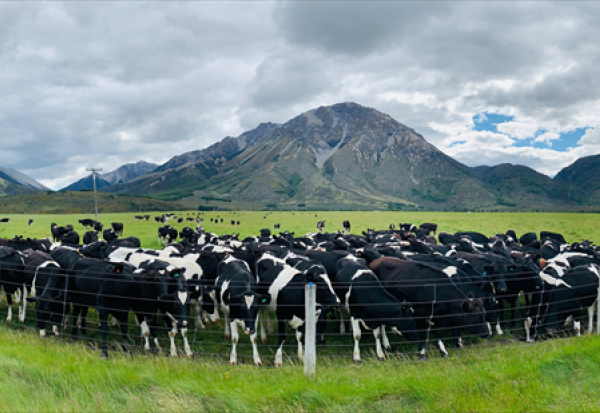 TotalEnergies : Saft et Genesis entament une nouvelle phase du projet BESS de Huntly