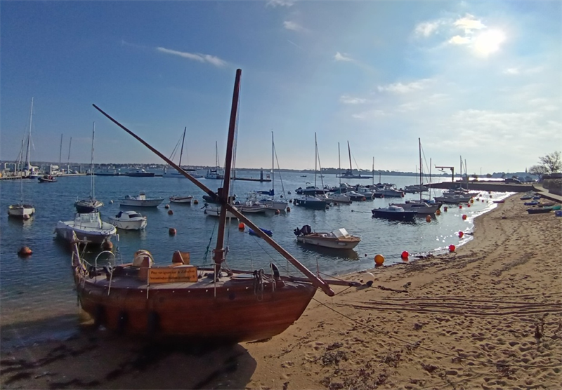 Tractial prévoit une attribution gratuite de BSA aux actionnaires