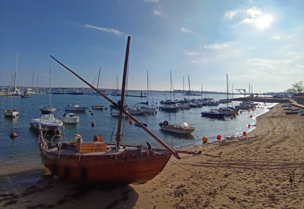 Tractial prévoit une attribution gratuite de BSA aux actionnaires