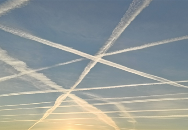 Transport : French Bee élue meilleure compagnie aérienne loisirs en France par Skytrax