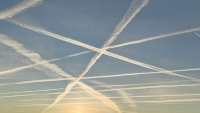 Transport : French Bee élue meilleure compagnie aérienne loisirs en France par Skytrax