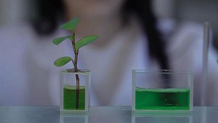 Valbiotis : 11 produits désormais déployés sur les canaux pharmacie et e-commerce