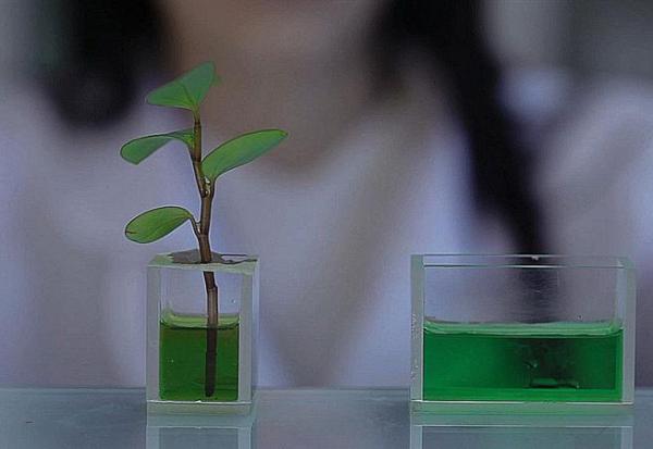 Valbiotis : grimpe après les annonces en Asie