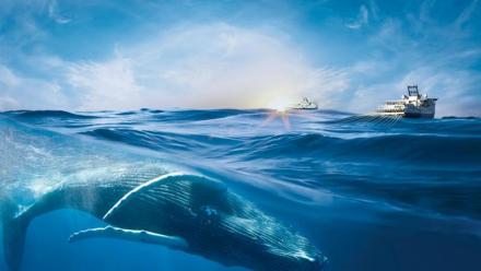 Viridien : en mode pause