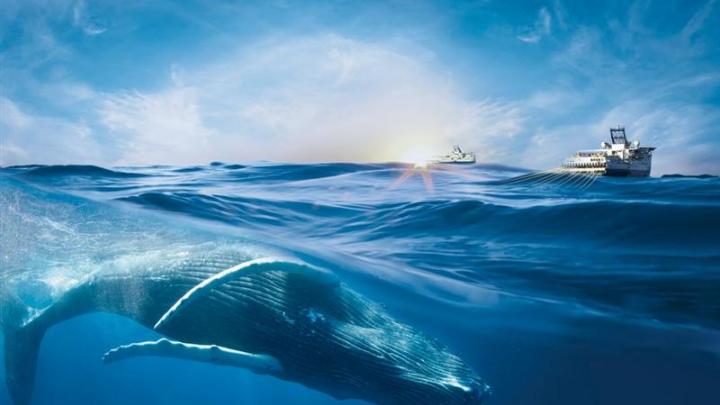 Viridien : flambe après les commentaires de la direction