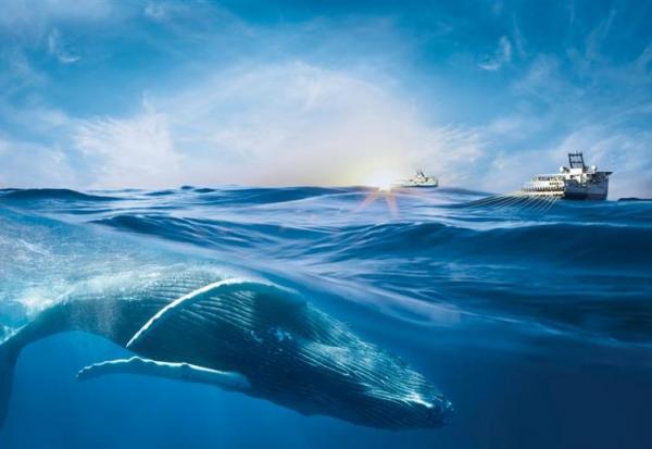 Viridien : gros décrochage !