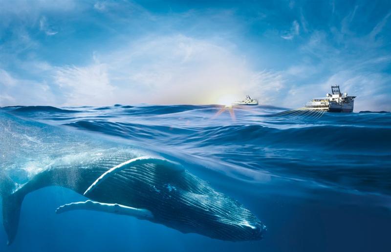 Viridien : un chiffre d'affaires attendu supérieur à 1.150 M$