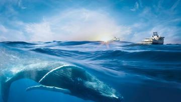 Viridien : vive hausse