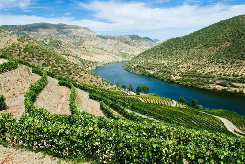 Vranken Pommery & Associés peine à finaliser son refinancement ; distribution du dividende compromise