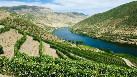 Vranken Pommery & Associés peine à finaliser son refinancement ; distribution du dividende compromise