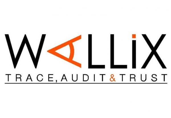Wallix : consolide malgré une belle publication