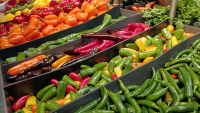 Walmart : des analystes en soutien