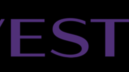 Wavestone : publication bien accueillie