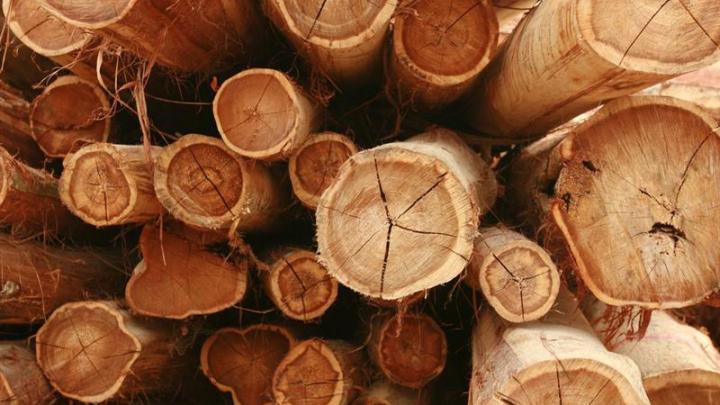 Weya : EO2 détient désormais 81,67 % du capital