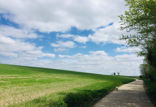 Winfarm obtient une ligne de crédit renouvelable de 5 ME