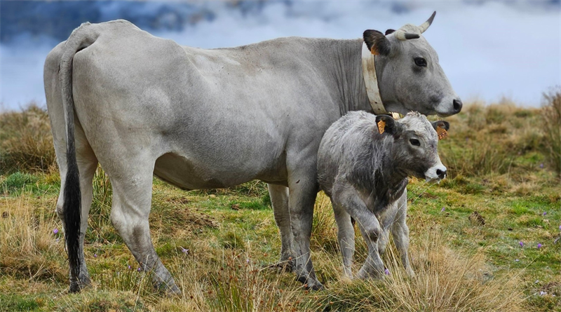 Winfarm : un bon 1er semestre 2025